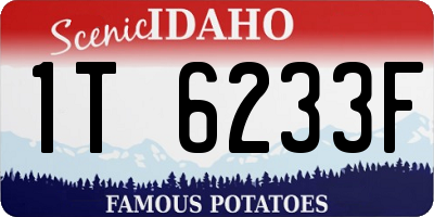 ID license plate 1T6233F