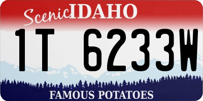 ID license plate 1T6233W