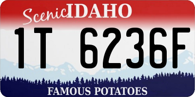 ID license plate 1T6236F