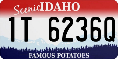 ID license plate 1T6236Q