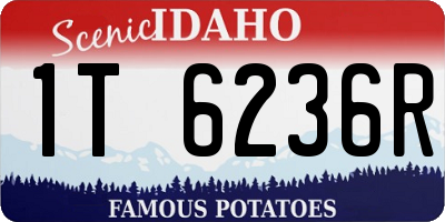 ID license plate 1T6236R
