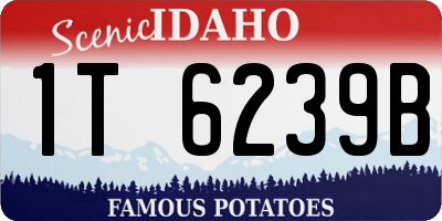 ID license plate 1T6239B