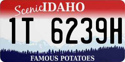 ID license plate 1T6239H