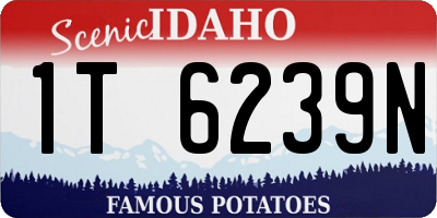 ID license plate 1T6239N
