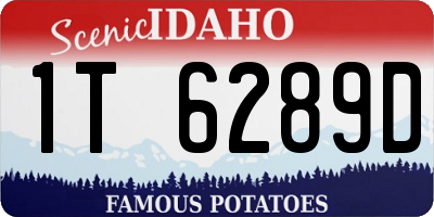 ID license plate 1T6289D