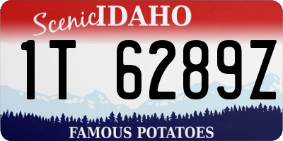 ID license plate 1T6289Z