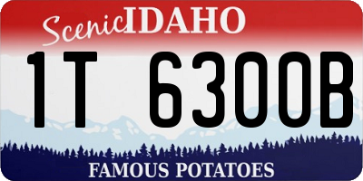 ID license plate 1T6300B