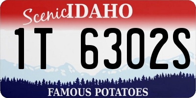 ID license plate 1T6302S