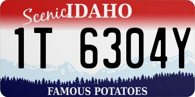 ID license plate 1T6304Y