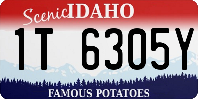 ID license plate 1T6305Y