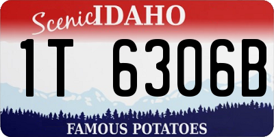 ID license plate 1T6306B
