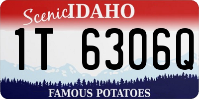 ID license plate 1T6306Q