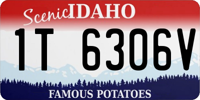 ID license plate 1T6306V