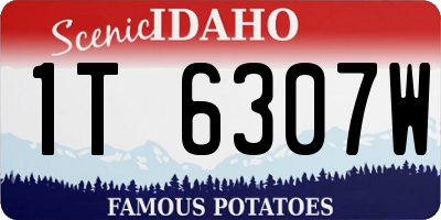 ID license plate 1T6307W