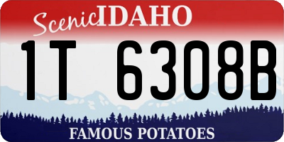 ID license plate 1T6308B