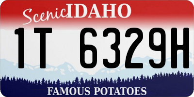 ID license plate 1T6329H