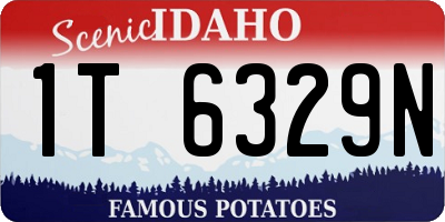 ID license plate 1T6329N