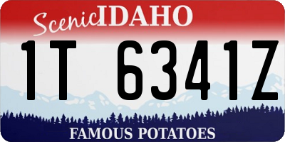 ID license plate 1T6341Z