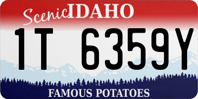 ID license plate 1T6359Y