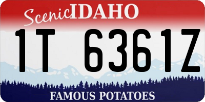 ID license plate 1T6361Z