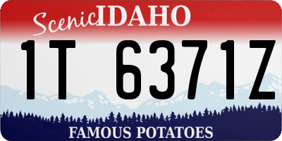 ID license plate 1T6371Z