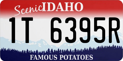 ID license plate 1T6395R