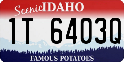 ID license plate 1T6403Q