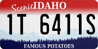 ID license plate 1T6411S