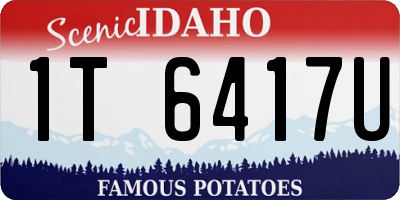 ID license plate 1T6417U