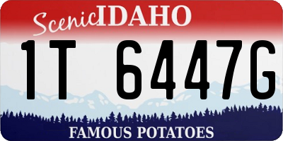 ID license plate 1T6447G