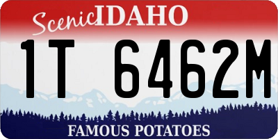 ID license plate 1T6462M