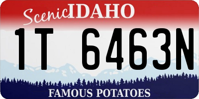 ID license plate 1T6463N