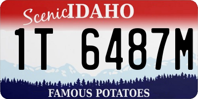 ID license plate 1T6487M