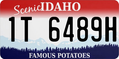 ID license plate 1T6489H