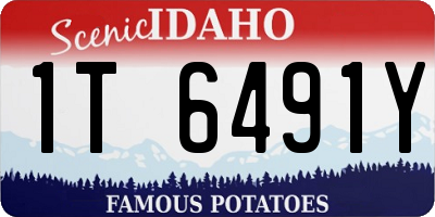 ID license plate 1T6491Y