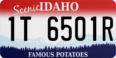 ID license plate 1T6501R