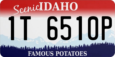 ID license plate 1T6510P