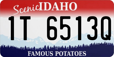ID license plate 1T6513Q