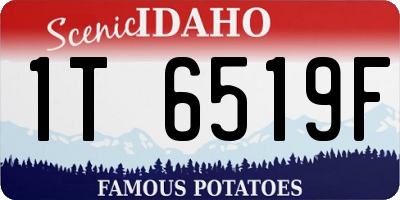 ID license plate 1T6519F