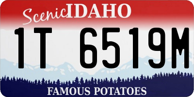 ID license plate 1T6519M