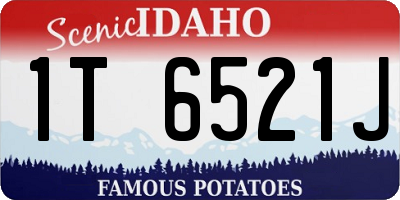 ID license plate 1T6521J