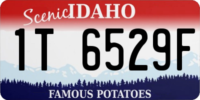 ID license plate 1T6529F
