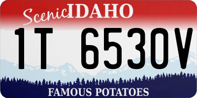 ID license plate 1T6530V