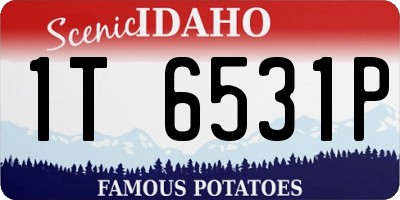 ID license plate 1T6531P