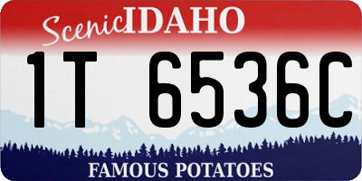 ID license plate 1T6536C