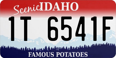 ID license plate 1T6541F