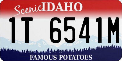 ID license plate 1T6541M