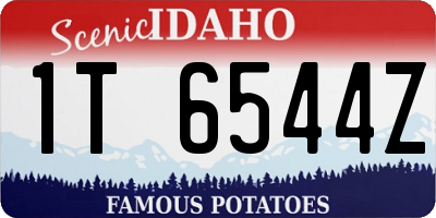 ID license plate 1T6544Z
