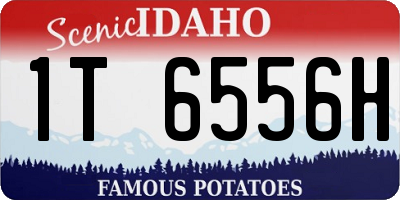 ID license plate 1T6556H