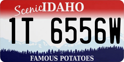 ID license plate 1T6556W